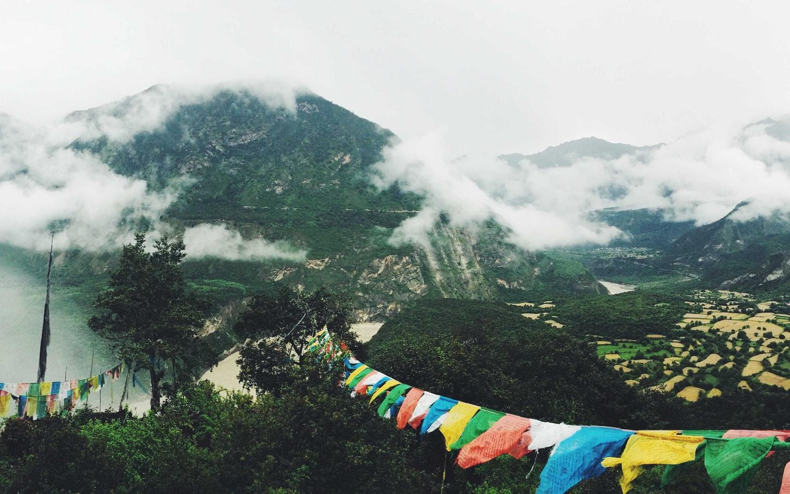 प्राविधिक तालिमका लागि छात्रवृत्ति घोषणा