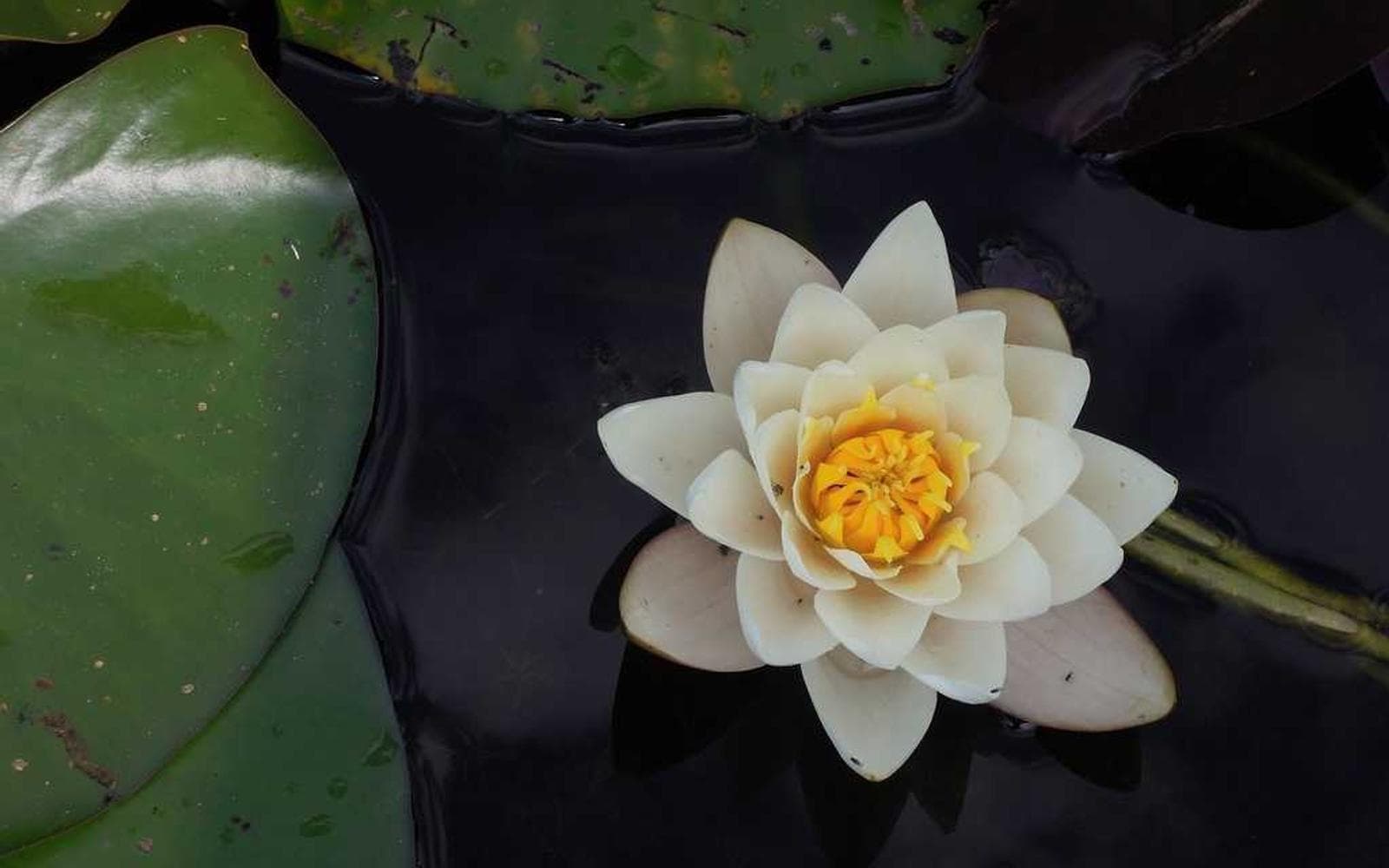 स्टार्टअप इन्टर्नशिप कार्यक्रम सुरु